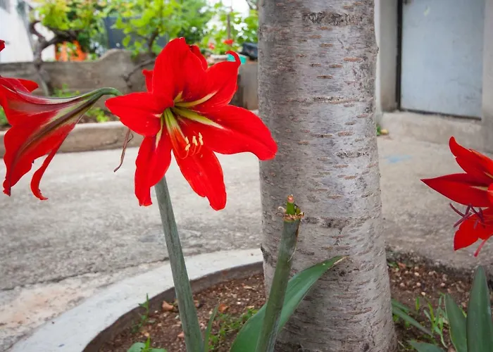 Marsela Lejlighed Šibenik
